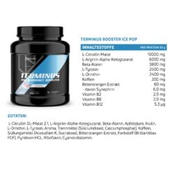 Terminus Booster - Ice Pop, 600g -Nahrung Welt Terminus Ice Pop 600g 936